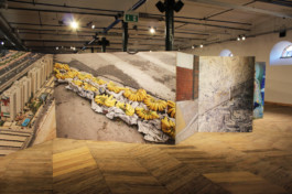 Charlie Koolhaas
