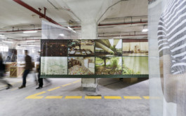 Charlie Koolhaas